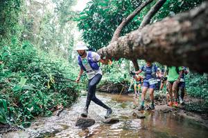 BIB: 
                            <button type="button" onclick="openModal(25375124)" class="btn btn-primary btn-sm float-right btn-popup" data-toggle="modal" data-target=".modal-high-quality">
                        <i class="fas fa-shopping-cart"></i> Add to Cart
                    </button>
                                            <button type="button" onclick="isThisMe(25375124, true)" class="btn btn-success btn-sm float-right btn-popup btn-isme hidden" data-toggle="tooltip" data-placement="bottom" title="นี่คือรูปของคุณใช่ไหม คลิกที่นี่เพื่อเอาเข้าอัลบั้ม">
                        <i class="fas fa-plus"></i> Add to album
                    </button>
                    <button type="button" onclick="isThisMe(25375124, false)" class="btn btn-warning btn-sm float-right btn-popup btn-isnotme hidden">
                        <i class="fas fa-ban"></i> Remove from album
                    </button>